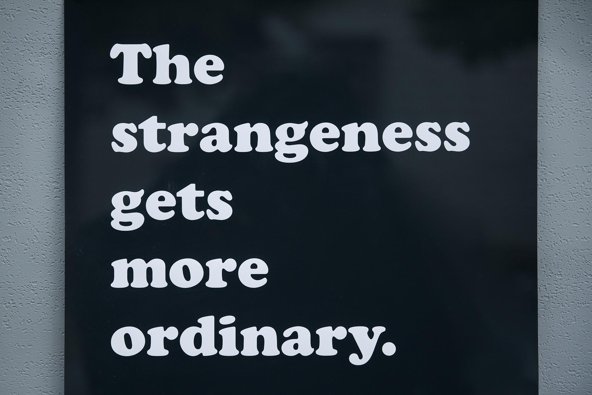 The strangeness gets more ordinary (Poster encounter) - ライアン
